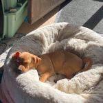 Gail Maynard - @maynards_in_maine - Instagram