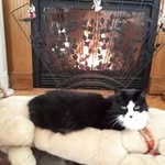 Gail McDowell - @mcdowell_gail - Instagram