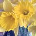Gail Mcdowell - Facebook