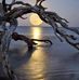 Gail McFarlane - Facebook