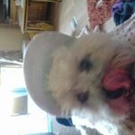 Gail Mcgrath - @gail.mcgrath - Instagram