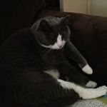 Gail McGrath - @mcgrath_gail - Instagram