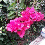 gailmcgrath - @gail.m.mcgrath - Instagram