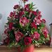 Gail McGraw - Facebook