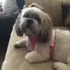 gailmcgregor8 - @gailmcgregor8 - TikTok