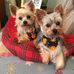 Gail McLaughlin - Facebook