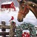 Gail McClellan - Facebook
