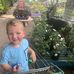 Gail Mclellan - Facebook