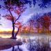 Gayle Mclemore - Facebook