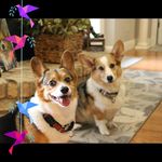 Gail McNally - @gail.mcnally.77 - Instagram
