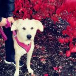 Gail McNally - @mcnally2838 - Instagram