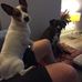 Gayle McNally - Facebook