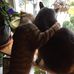 Gail McNeely Tull - Facebook