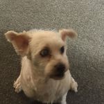 Gail Mcqueen - @gail.mcqueen.52 - Instagram