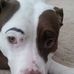 Gail Mcrae - Facebook