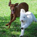 Gail Meltzer - @moosesmom9 - Instagram
