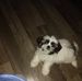 Gail Menard - Facebook