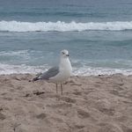Gail Mendelson - @gailmendelson - Instagram