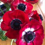 Gail Mendelson Klein - @avidreadertwo - Instagram