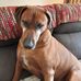 Gail Meredith - Facebook