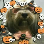 Gail Meredith - @gail.meredith.9 - Instagram
