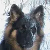 gailmerrick - @gailmerrick - TikTok
