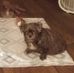 Gail Messick - Facebook