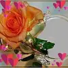 gailmichelmarette - @gailmichelmarette - TikTok
