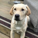 GF Michelle - @gail.michelle.180 - Instagram