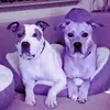 gailcarmickle - @gailcarmickle - TikTok