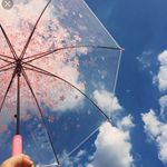 Gail milligan - @gmilligan65 - Instagram