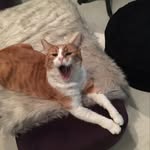Gail Millward - @ga.il2609 - Instagram