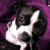 Gail Mingo - Facebook