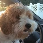 marcia mobley - @marciagailmobley - Instagram