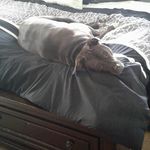 Frank Mock - @4frank.mock71gail - Instagram