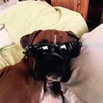 Gail Monaghan - @gailmono - Instagram