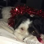Gail Monaghan - @monaghang271 - Instagram