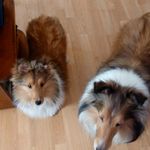 Gail Monahan - @monahan_gail - Instagram