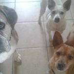 gail monk - @gailmonk1946 - Instagram