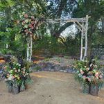 The Monk Ranch - @gailmonk - Instagram