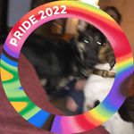 Gail Monroe - @gail.monroe.545 - Instagram