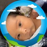 Gail Morin - @gail.morin.12 - Instagram
