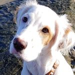 Gail Wilson Morin - @gailyz1 - Instagram