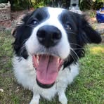 Gail Mortimer - Facebook
