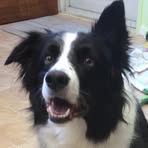 Gail Mortimer - Facebook