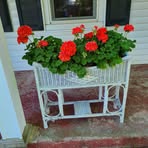 Gail Moser - Facebook