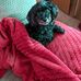 Gail Moses - Facebook