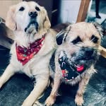 Gail Hoggins - @gail.mullin.9 - Instagram