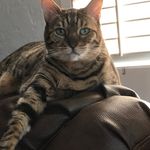 Gail Mullaney - @gailmullaney2661 - Instagram