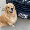 gailmunoz229 - @gailmunoz229 - TikTok